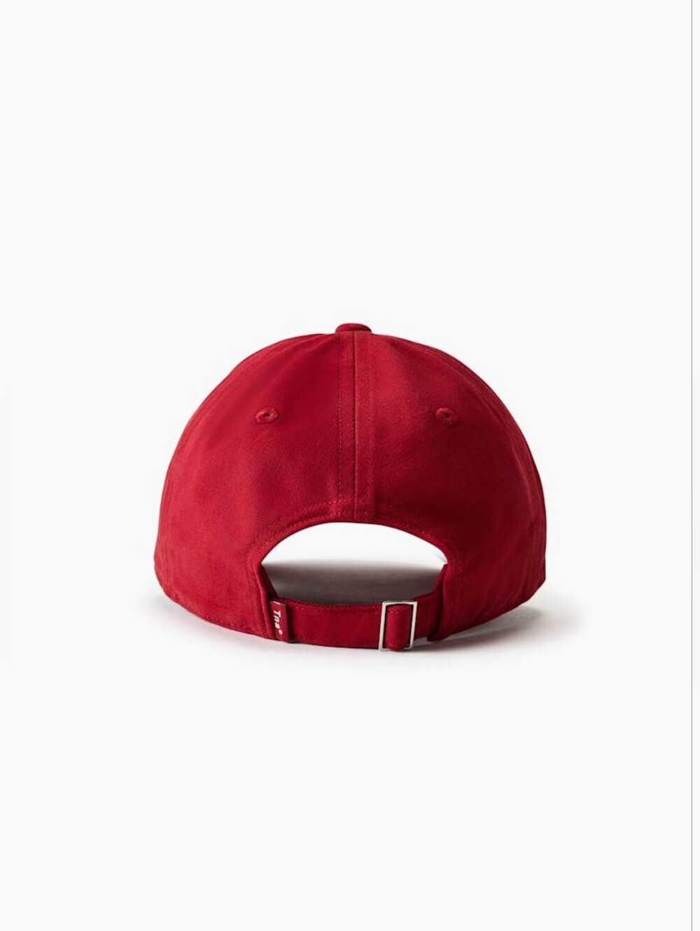 aritzia x Tna baseball hat
